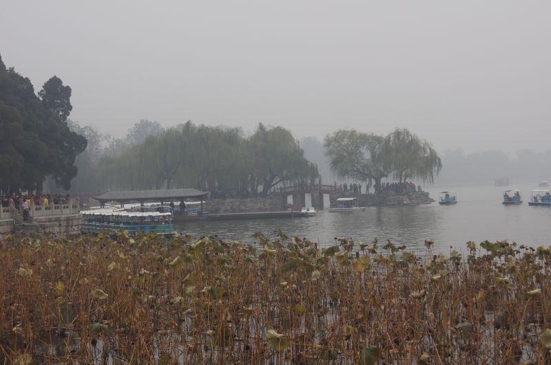 Viewing photos→2012→2012-10-19→171