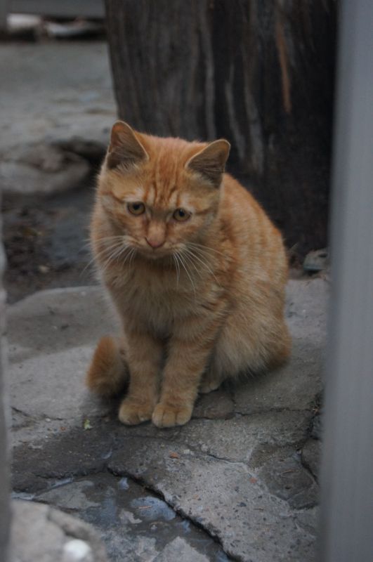 Viewing photos→2012→2012-10-19→221