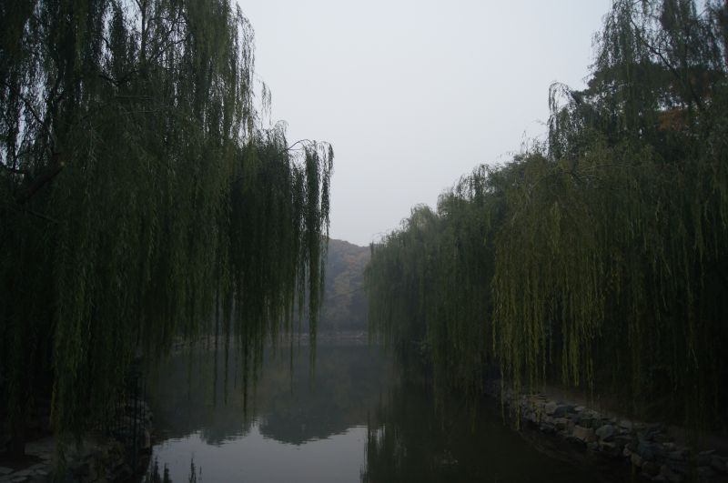 Viewing photos→2012→2012-10-19→230