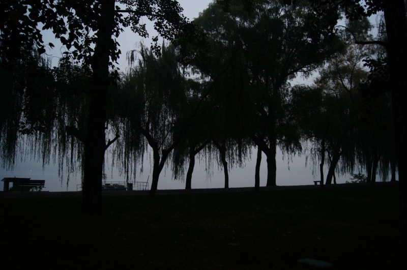 Viewing photos→2012→2012-10-19→233