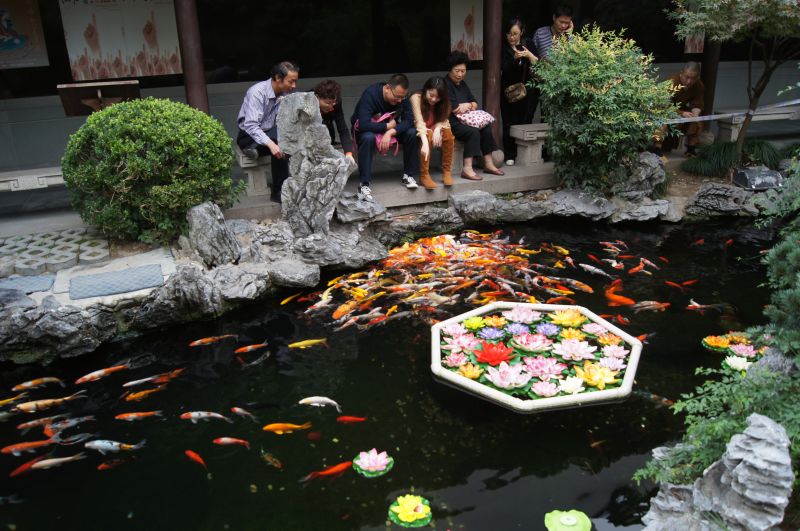 Viewing photos→2012→2012-10-27→157