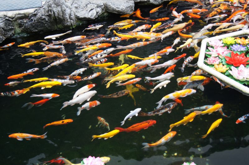 Viewing photos→2012→2012-10-27→159