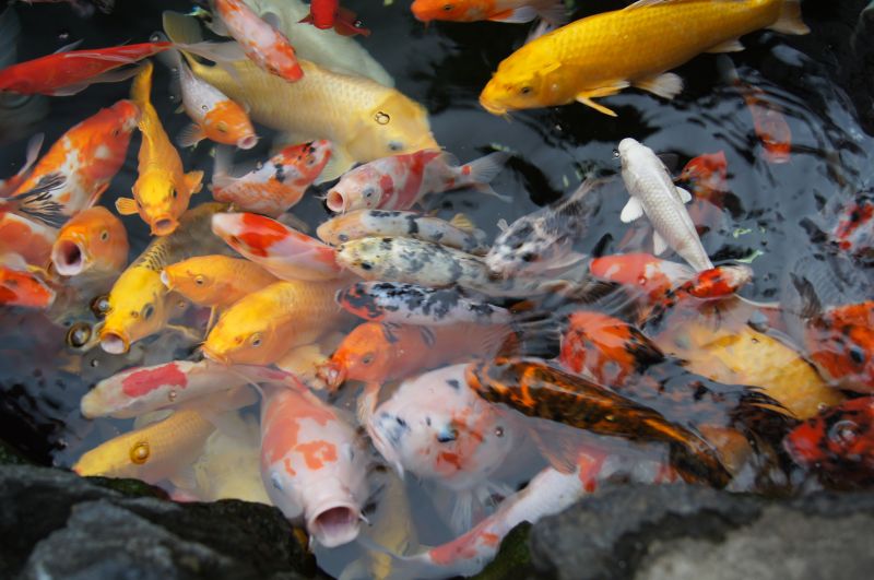 Viewing photos→2012→2012-10-27→161