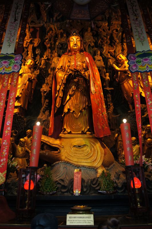 Viewing photos→2012→2012-10-27→164