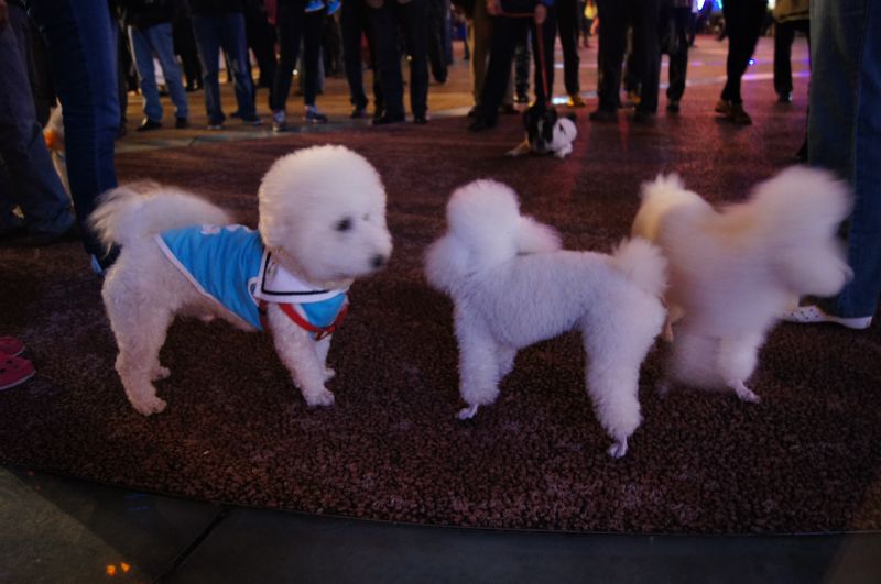 Viewing photos→2012→2012-10-27→200