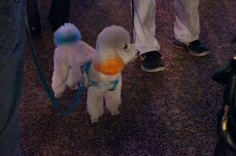 Viewing photos→2012→2012-10-27→201