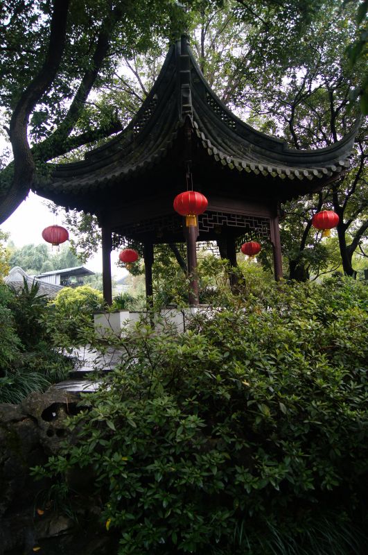 Viewing photos→2012→2012-10-30→58