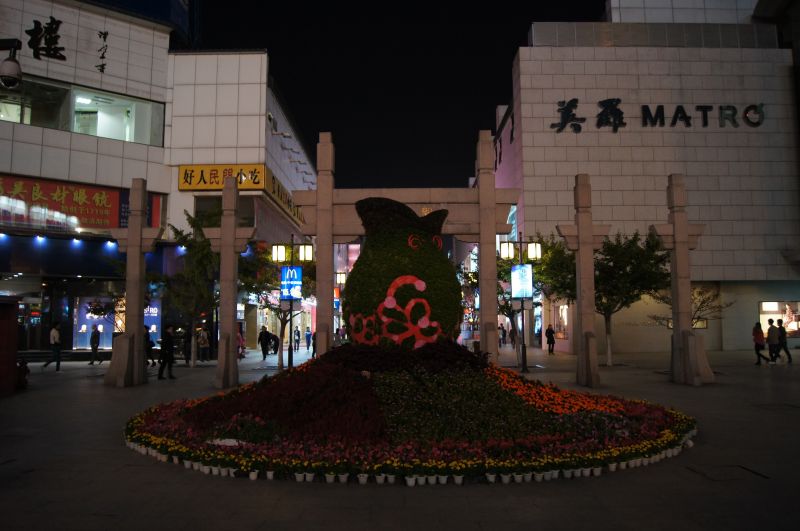 Viewing photos→2012→2012-10-31→038