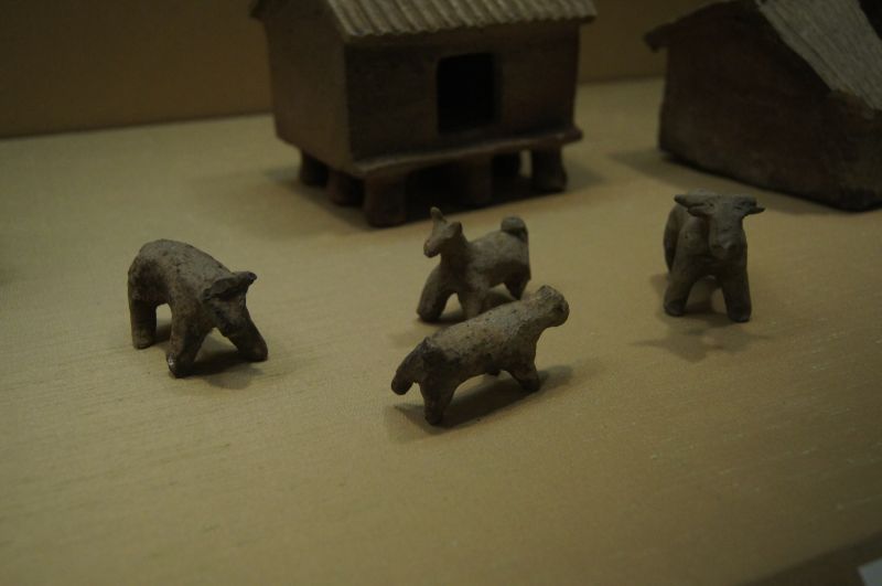 Viewing photos→2012→2012-10-31→107