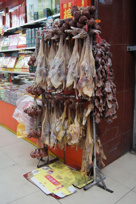 Viewing photos→2012→2012-11-02→031