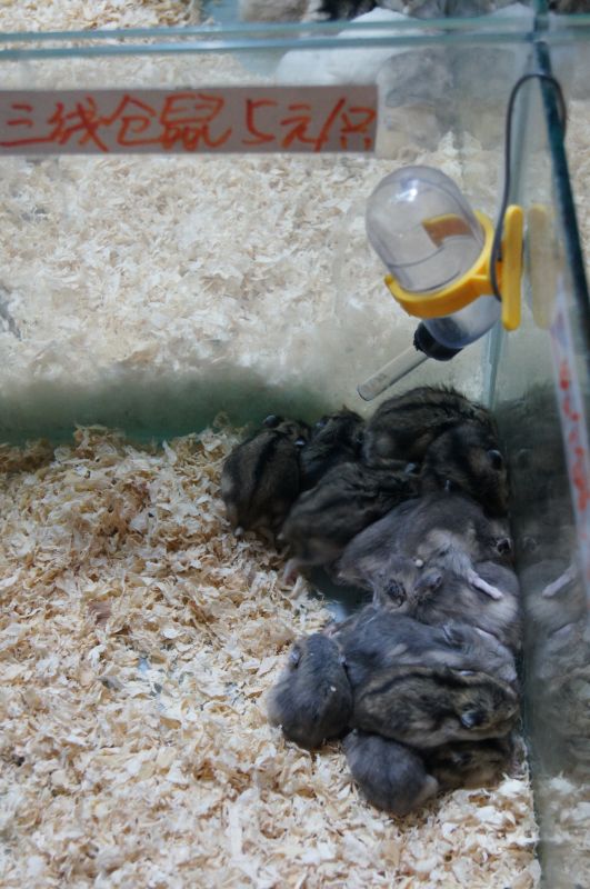 Viewing photos→2012→2012-11-02→047