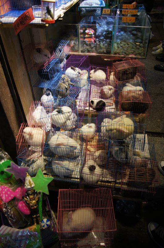 Viewing photos→2012→2012-11-02→050