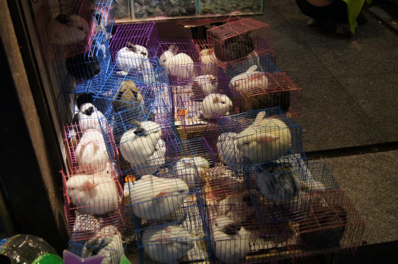 Viewing photos→2012→2012-11-02→053