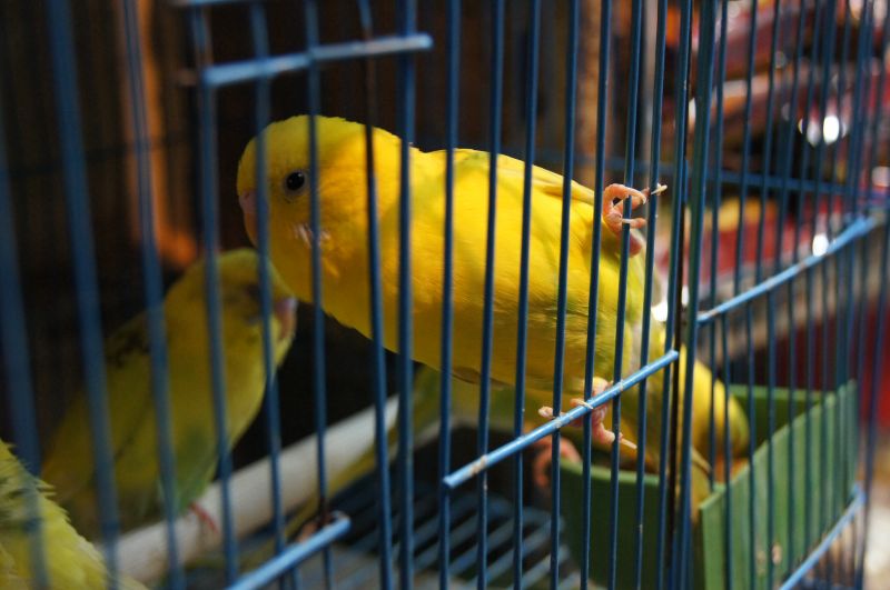 Viewing photos→2012→2012-11-02→056