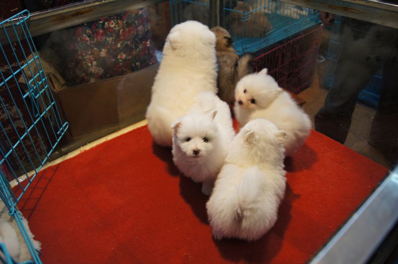 Viewing photos→2012→2012-11-02→058