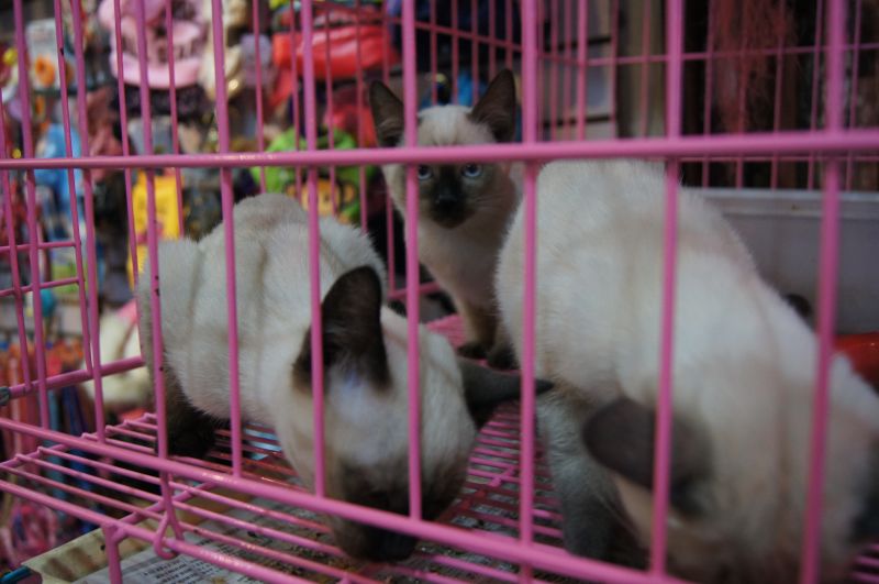 Viewing photos→2012→2012-11-02→059