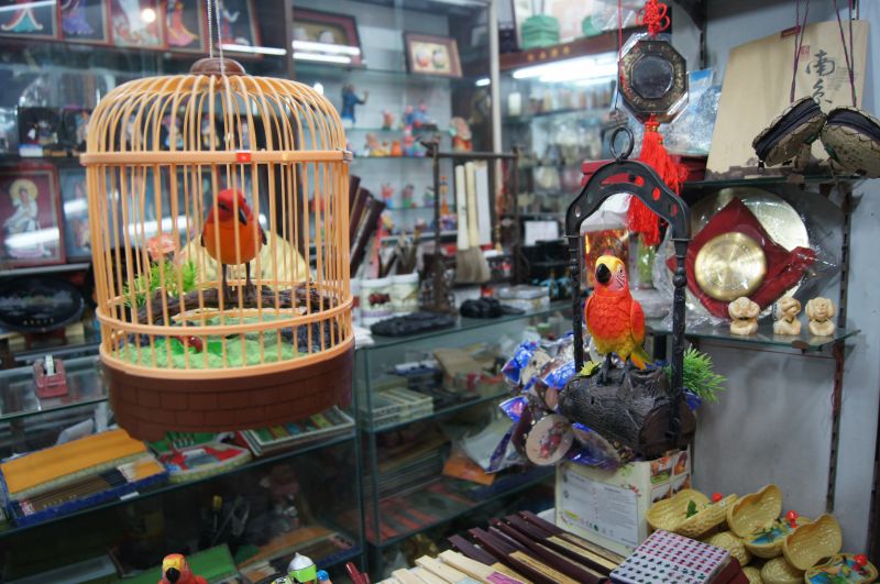 Viewing photos→2012→2012-11-02→078