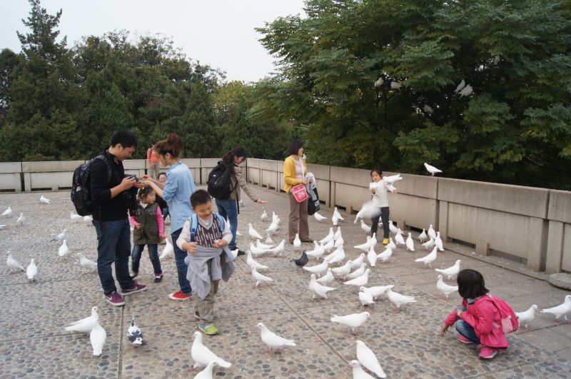 Viewing photos→2012→2012-11-02→120