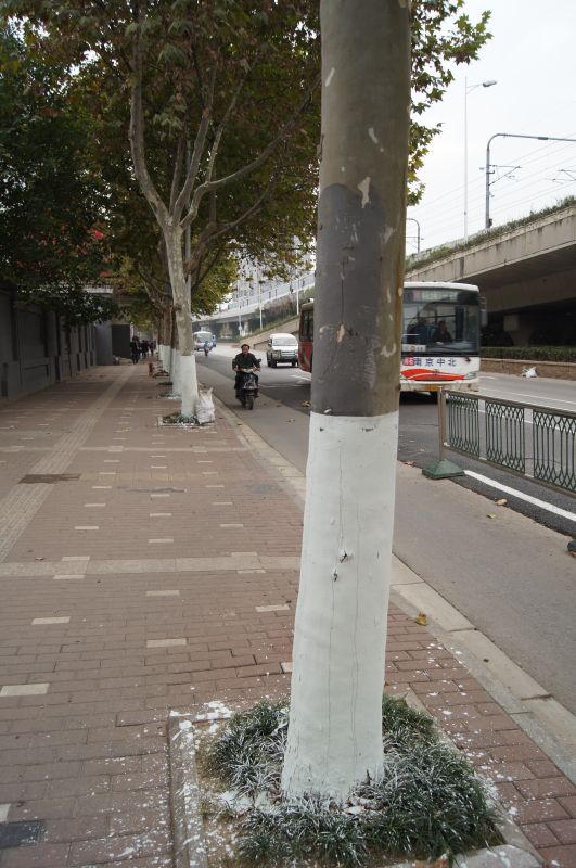 Viewing photos→2012→2012-11-02→133