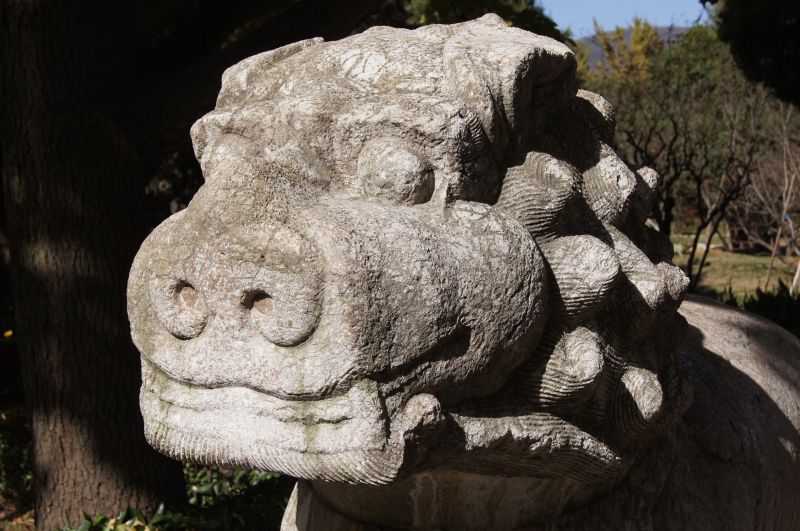 Viewing photos→2012→2012-11-02→172