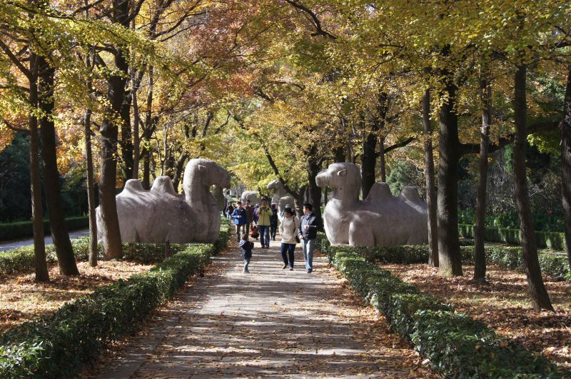 Viewing photos→2012→2012-11-02→175