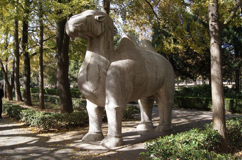 Viewing photos→2012→2012-11-02→177