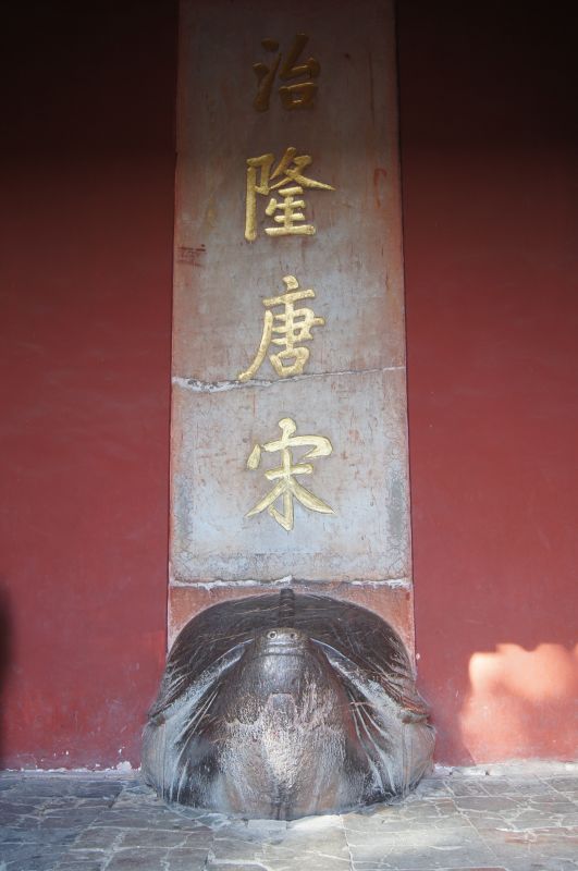 Viewing photos→2012→2012-11-02→194