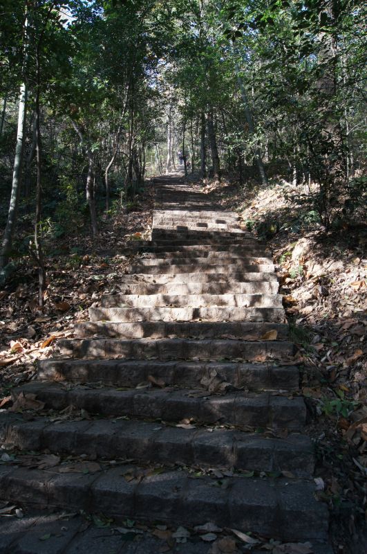 Viewing photos→2012→2012-11-02→210