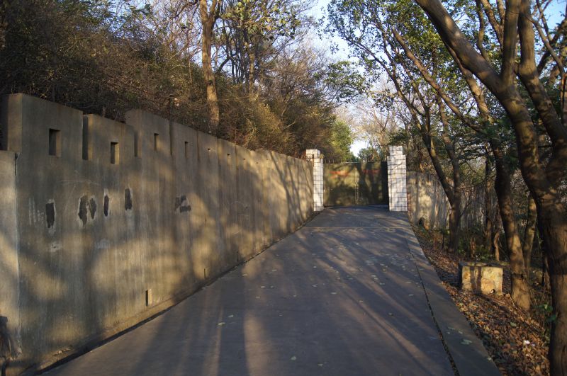 Viewing photos→2012→2012-11-02→224