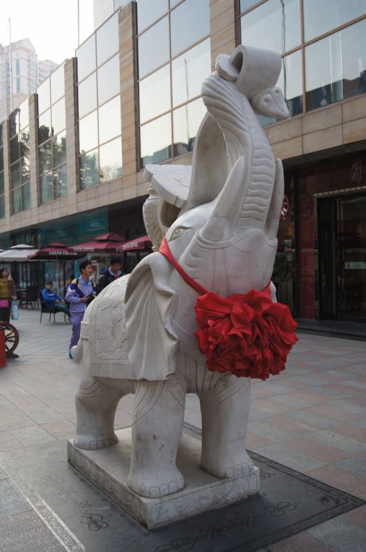 Viewing photos→2012→2012-11-05→035