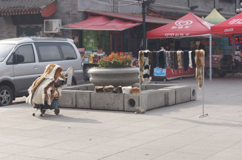 Viewing photos→2012→2012-11-05→111