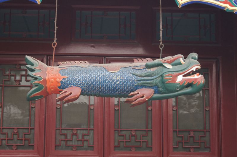 Viewing photos→2012→2012-11-05→149