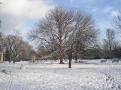 1.jpg - 2013:01:21 14:15:37