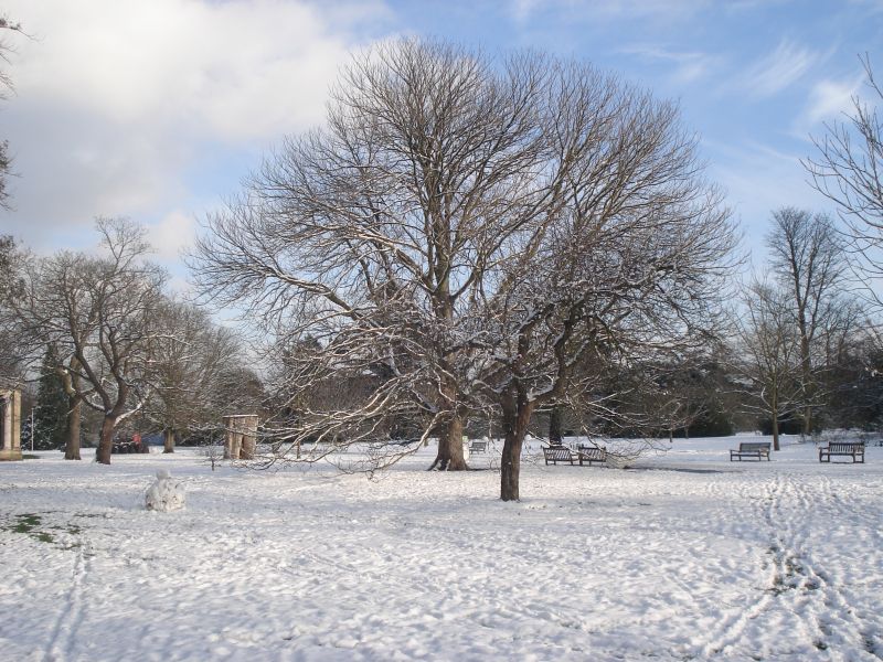 Viewing photos→2013→2013-01-21→1