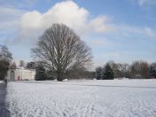 3.jpg - 2013:01:21 14:18:00