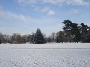 4.jpg - 2013:01:21 14:18:08