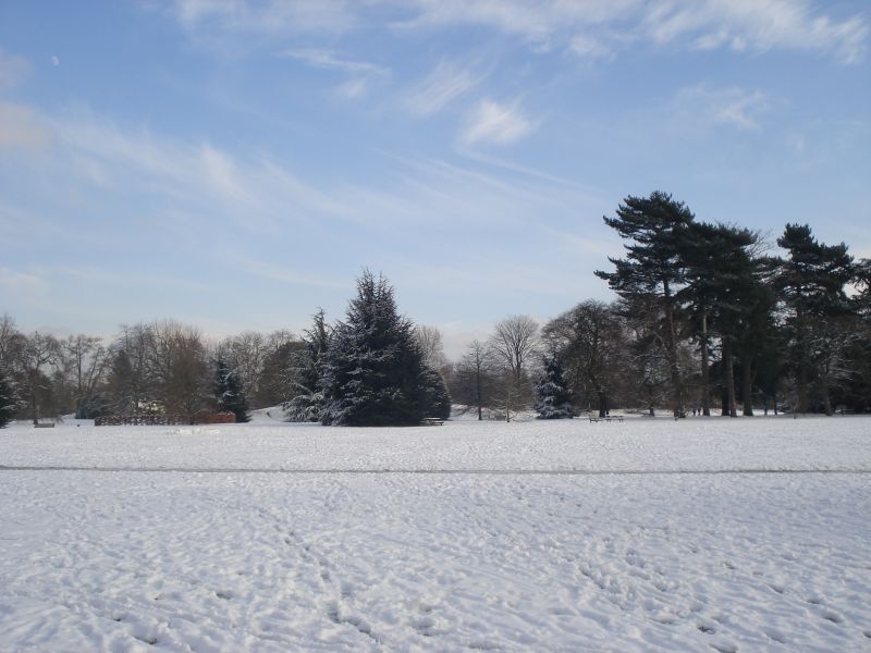 Viewing photos→2013→2013-01-21→4