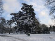 5.jpg - 2013:01:21 14:23:56