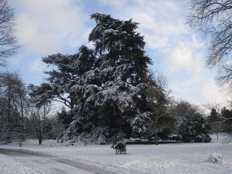 Viewing photos→2013→2013-01-21→5