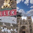 2013-03-29<br/>
<b>Chiswick, Hammersmith, Fulham, South Kensington</b>
