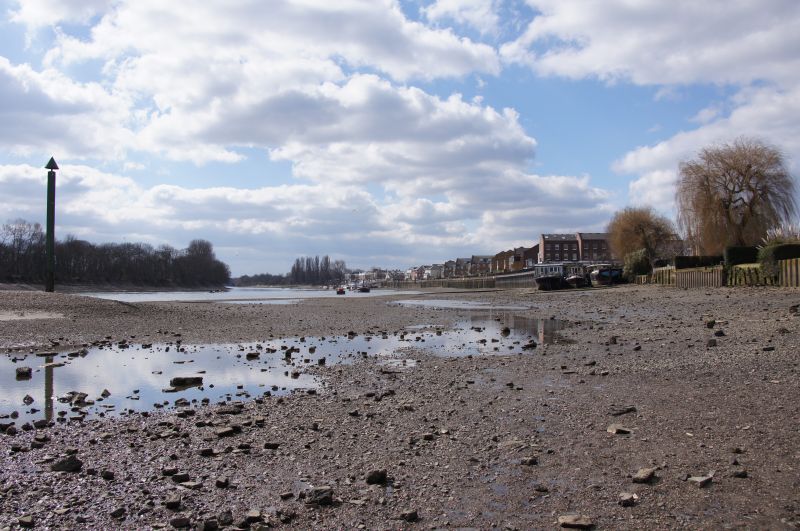 Viewing photos→2013→2013-03-29→03