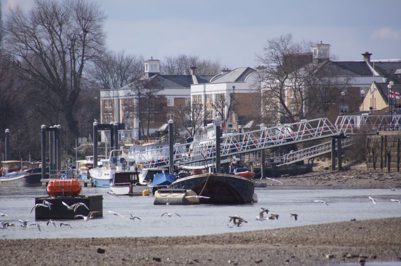 Viewing photos→2013→2013-03-29→04