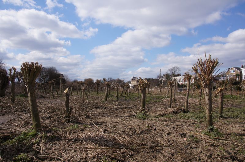 Viewing photos→2013→2013-03-29→11