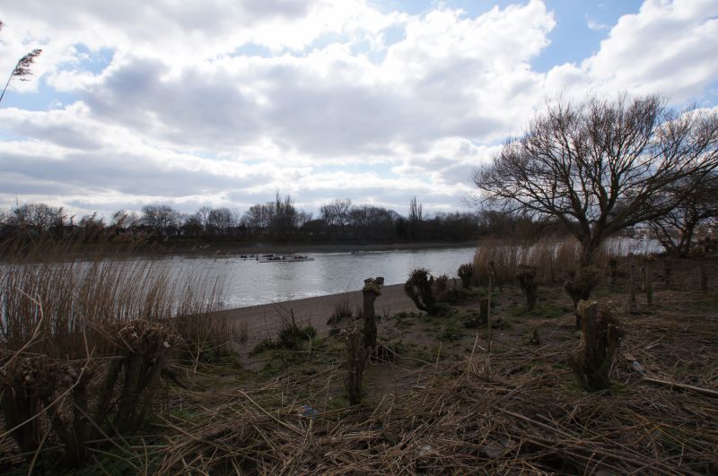 Viewing photos→2013→2013-03-29→12