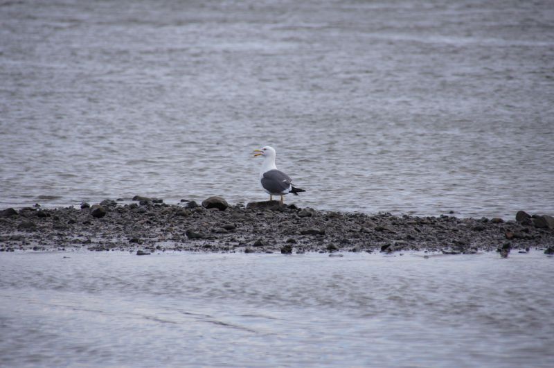 Viewing photos→2013→2013-03-29→19