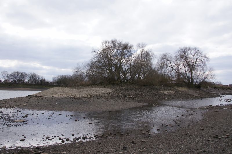 Viewing photos→2013→2013-03-29→21