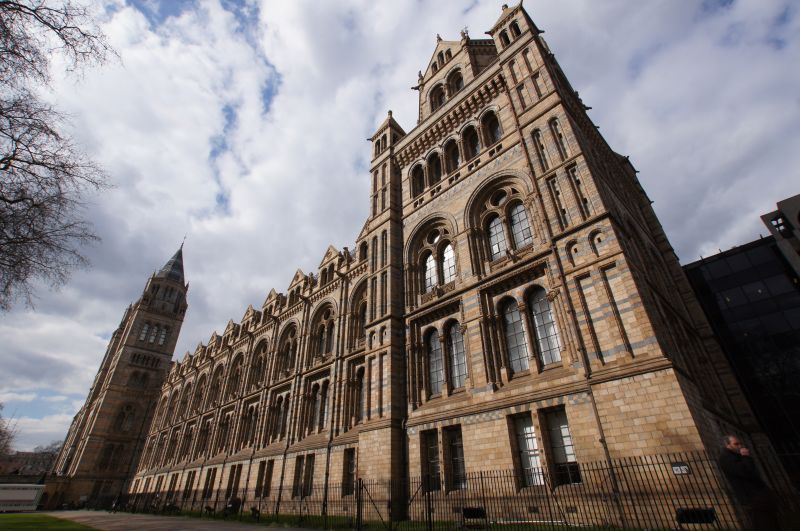 Viewing photos→2013→2013-03-29→36