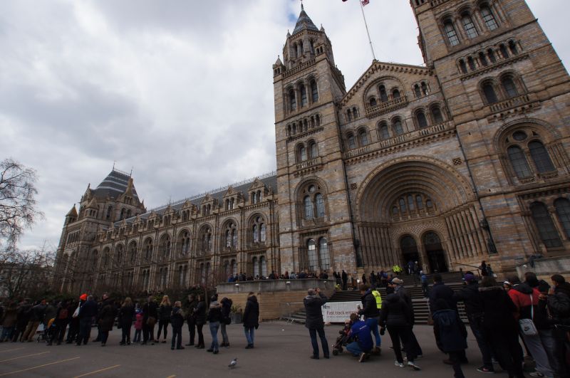 Viewing photos→2013→2013-03-29→43