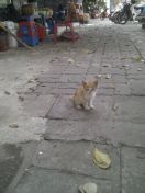 001.jpg - 2013:04:06 01:41:57