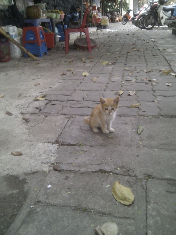 Viewing photos→2013→2013-04-06→001